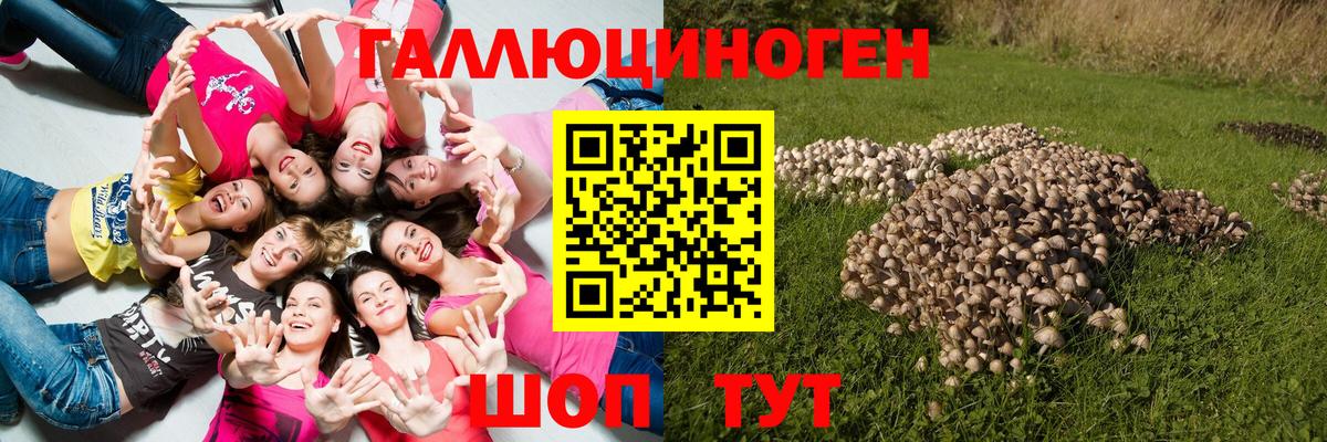 Псилоцибиновые грибы MAGIC MUSHROOMS  Вход с VPN  Абакан 
