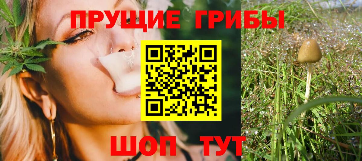 Псилоцибиновые грибы GOLDEN TEACHER Абакан